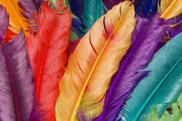 warsztaty kolorystyczne