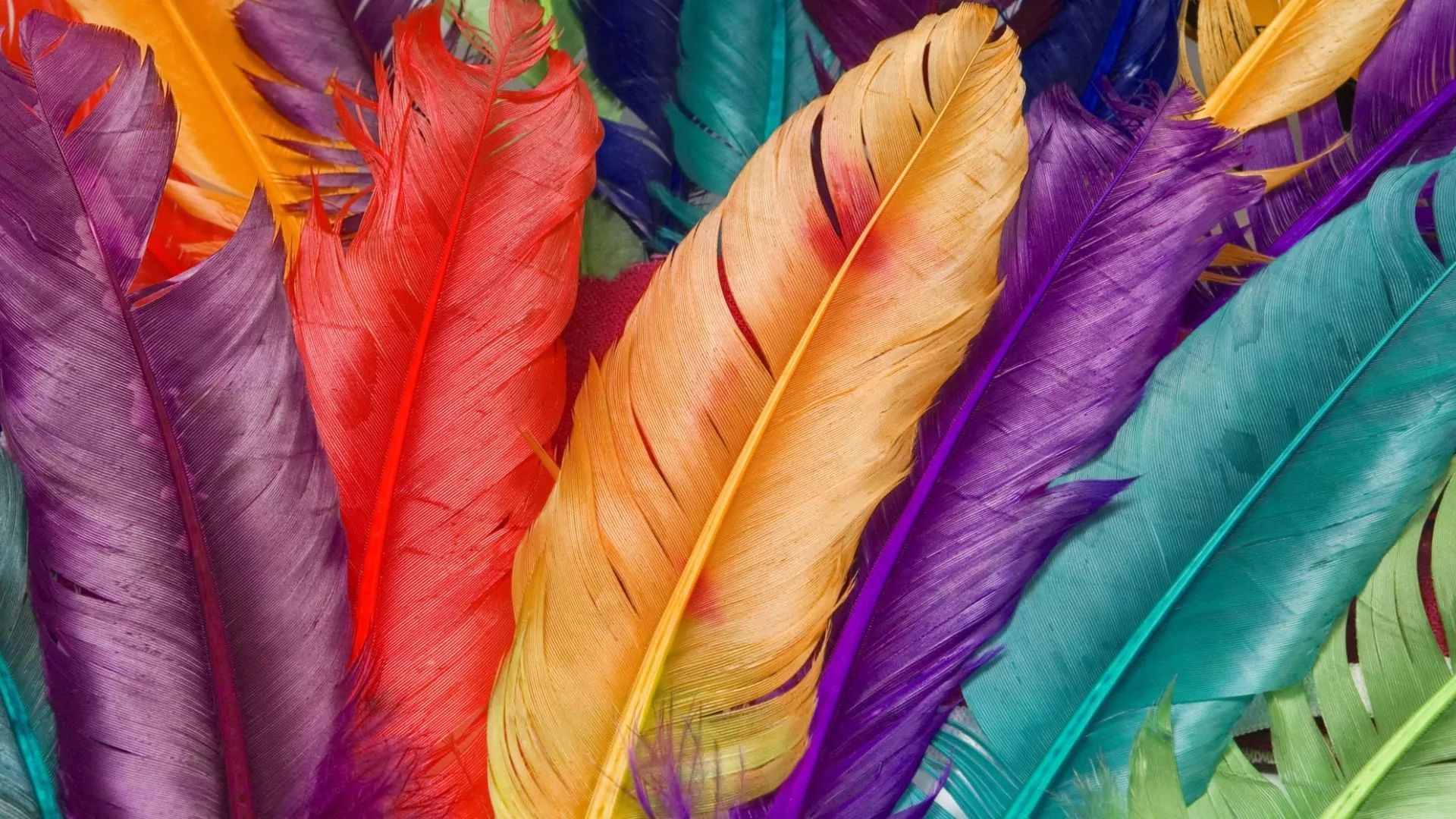 warsztaty kolorystyczne