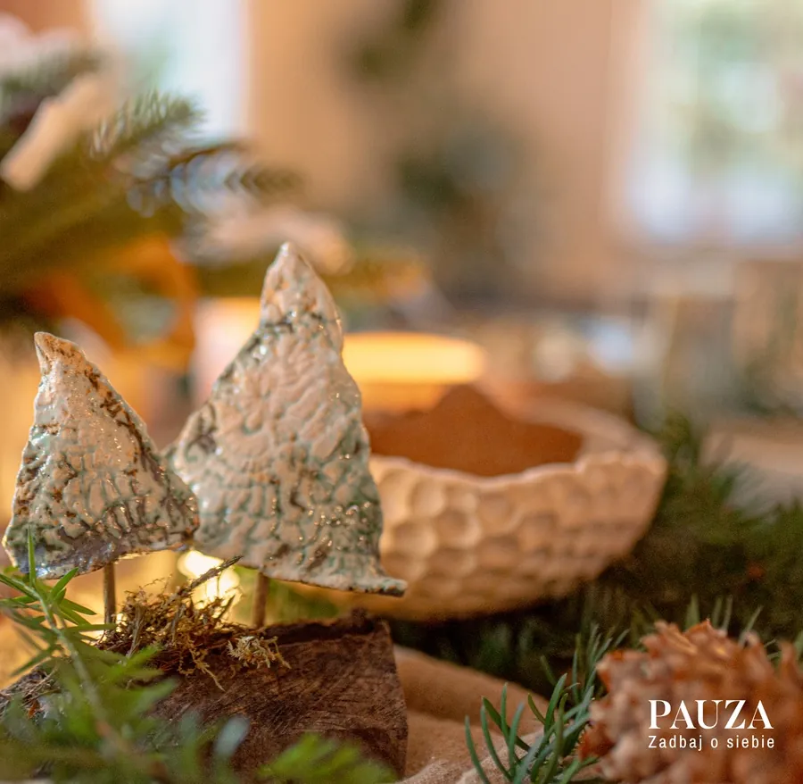 Spotkanie świąteczne w Pauzie