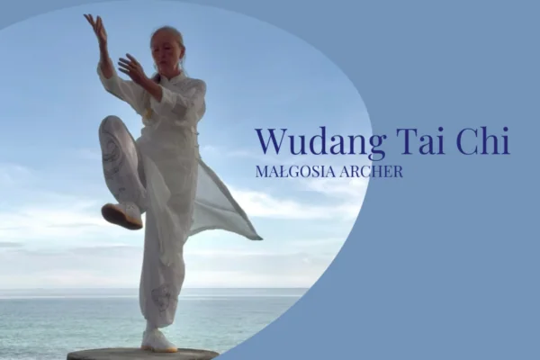 Wudang Tai Chi