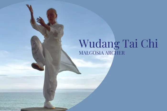 Wudang Tai Chi