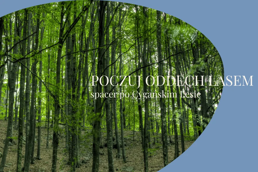 spacer po Cygańskim Lesie